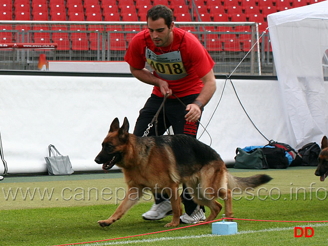 conny-vom-adelsberger-hof.jpg - Conny vom Adelsberger Hof SG51 JHKL H