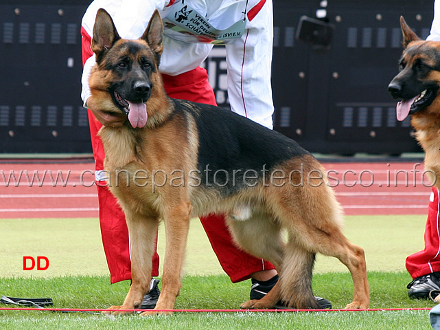 fernando-von-der-wilhelmswarte-02.jpg - Fernando von der Wilhelmswarte V41 GHKL R