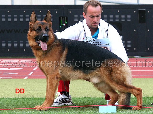 fulz-di-zenevredo-03.jpg - Fulz di Zenevredo SG4 JHKL R