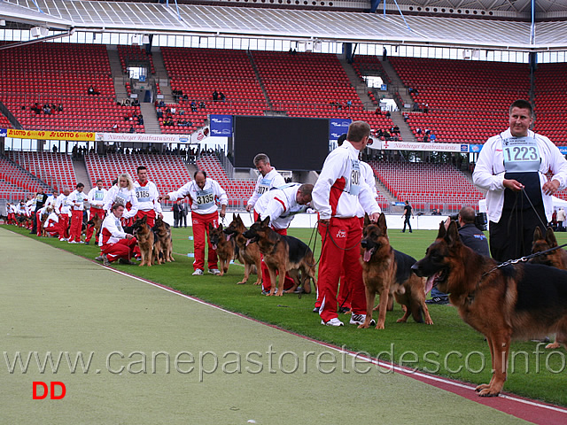 gruppo-di-furbo-degli-achei-03.jpg - Gruppo di riproduzione di Furbo degli Achei