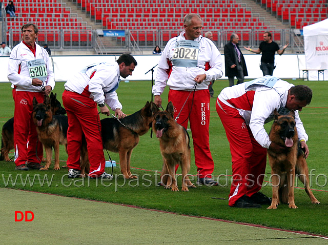 gruppo-di-furbo-degli-achei-05.jpg - Gruppo di Furbo degli Achei