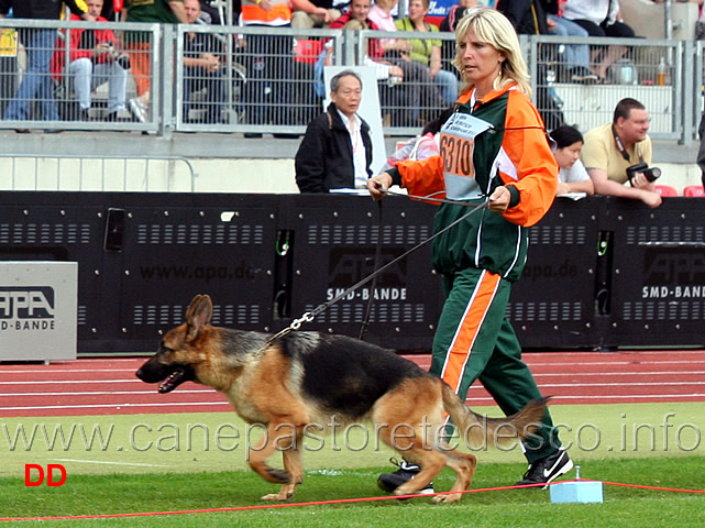 kiki-von-der-wilhelmswarte.jpg - Kiki von der Wilhelmswarte SG24 JKL H
