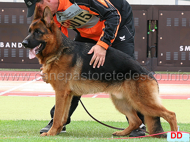 lennox-von-regina-pacis-02.jpg - Lennox von Regina Pacis SG1 JHKL R