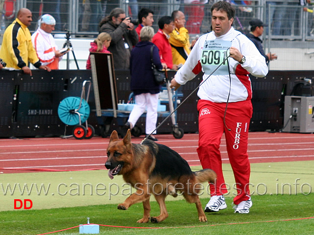 sony-dei-colli-storici.jpg - Sony dei Colli Storici SG20 JKL R