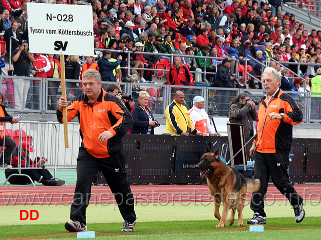 tyson-vom-koettersbusch.jpg - Tyson vom Koettersbusch