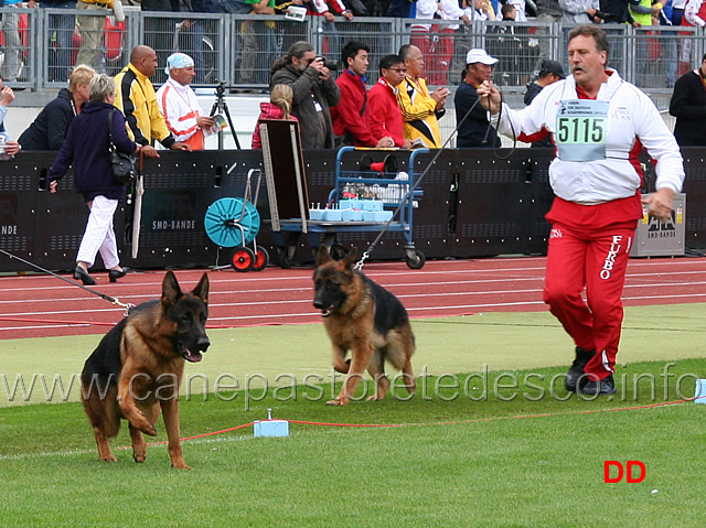 urk-della-valcuvia-e-umax-vom-moorbeck.jpg - Urk della Valcuvia SG29 e Umax vom Moorbeck SG47 JKL R