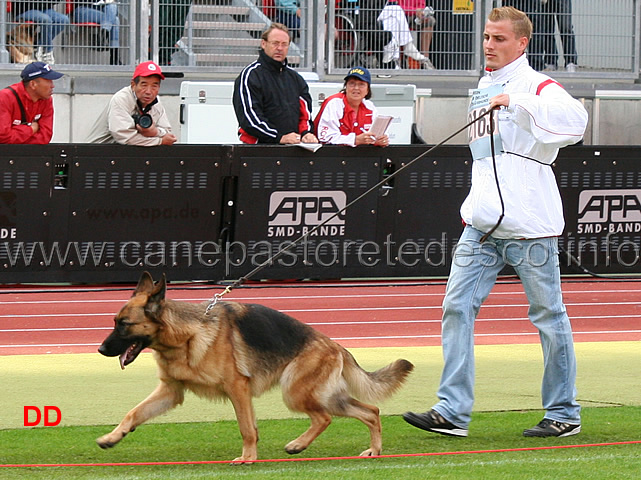 xenia-vom-westervenn.jpg - Xenia vom Westervenn V33 GHKL H