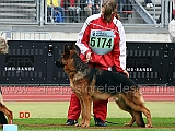 leo-mavic-poland