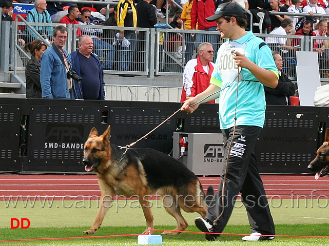 alex-vom-rittenberg.jpg - Alex vom Ritterberg SG83 JKL R