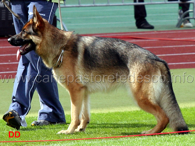 batida-vom-larchenhain.jpg - Batida vom Larchenhain SG22 JKL H
