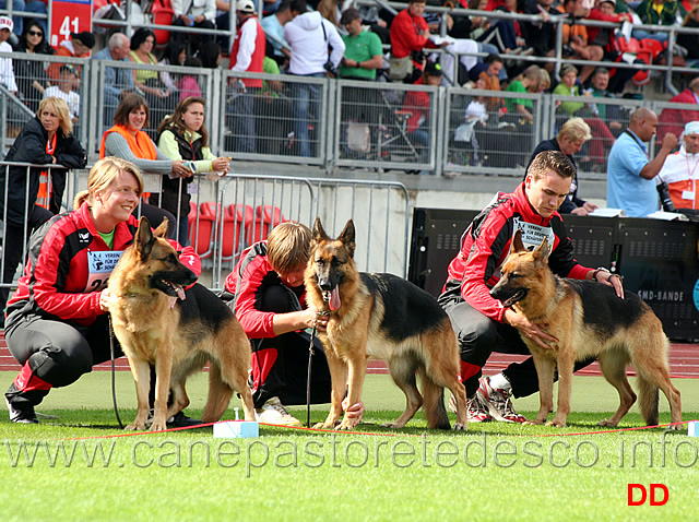 cina-urbecke-joye-marbeck-juli-glokenbergsschaferei.jpg - Cina Urbecke, Joye Marbeck, Juli Glockenbergsschafferei