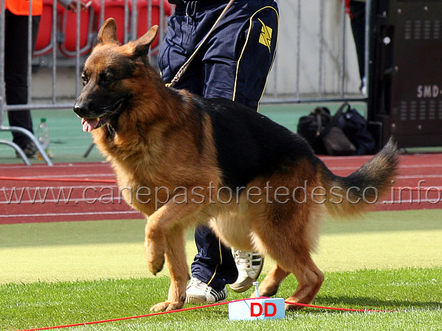 floro-degli-achei-04.jpg - Floro degli Achei