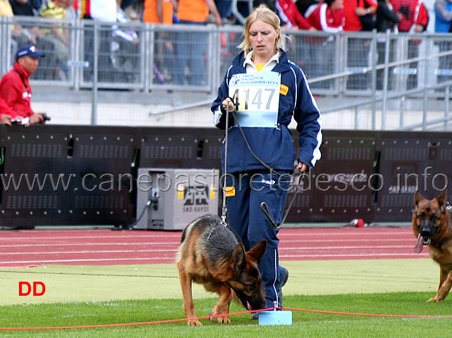 gabi-vom-schmetterholz-sg128-jhkl-h.jpg - Gabi vom Schmetterholz SG128 JHKL H
