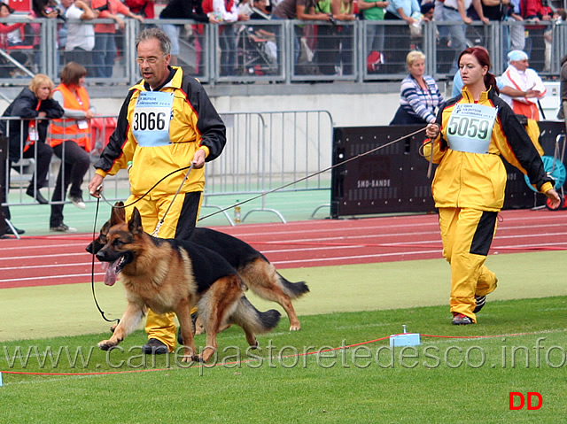 gruppo-di-bojan-vom-pendler-02.jpg - Gruppo di Boajn vom Pendler