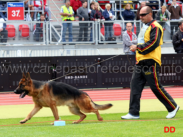hannes-schloss-rosenfels.jpg - Hannes Schloss Rosenfels SG41 JKL R