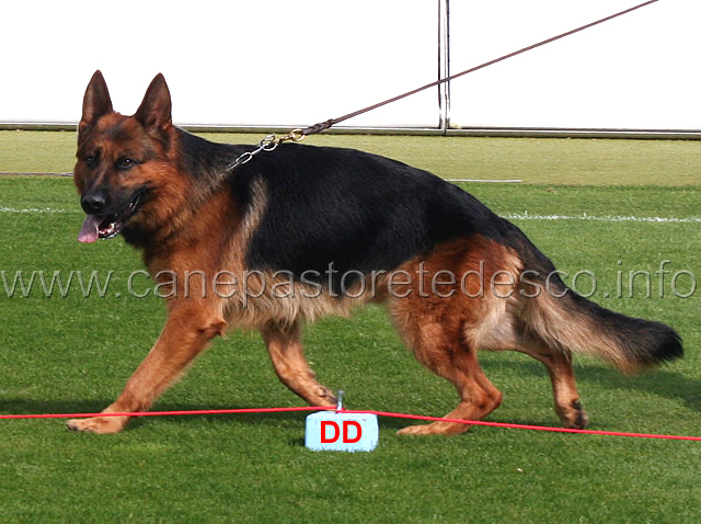hatto-vom-huhnegrab-02.jpg - Hatto vom Huhnegrab V2 GHKL R
