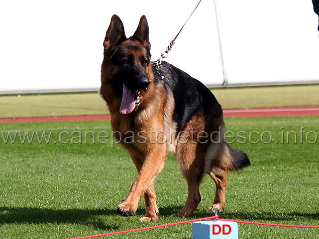 kassieger-renata-03.jpg - Kassieger Renata SG11 JHKL H