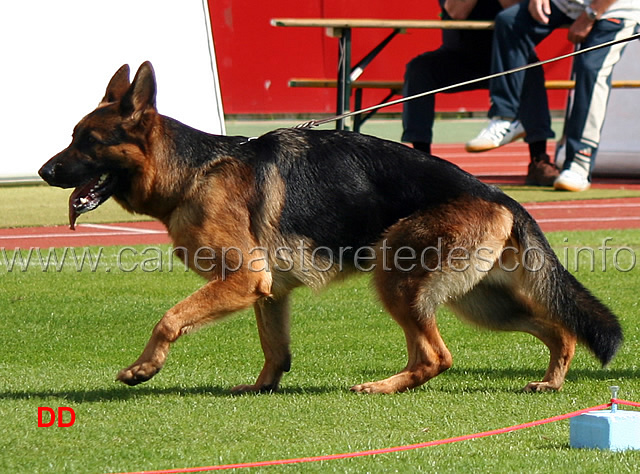 kassieger-renata-04.jpg - Kassieger Renata SG11 JHKL H