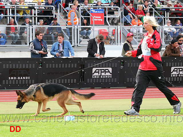 maxie-vom-kirschental.jpg - Maxie vom Kirschental SG2 HGH-JHKL H