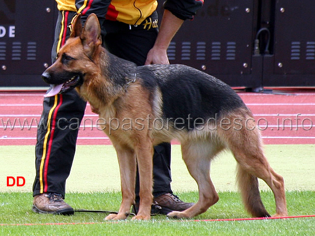 nikki-zum-gigelsfelsen-02.jpg - Nikki zum Gigelsfelsen SG121 JHKL H