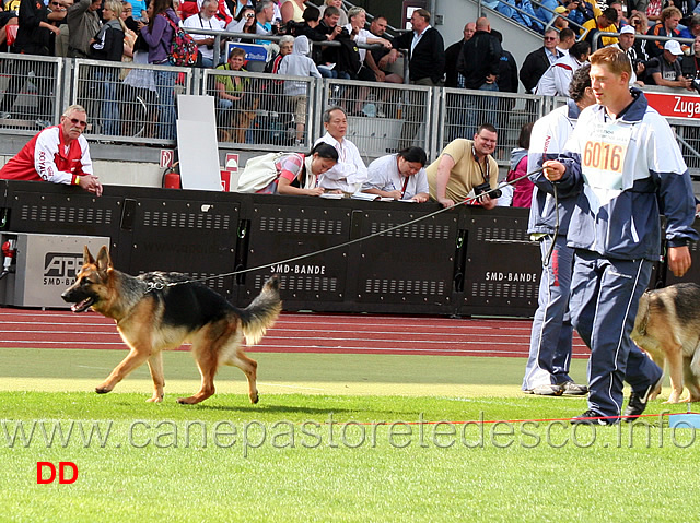 wianna-vom-osterberger-land.jpg - Wianna vom Osterberger Land SG121 JKL H