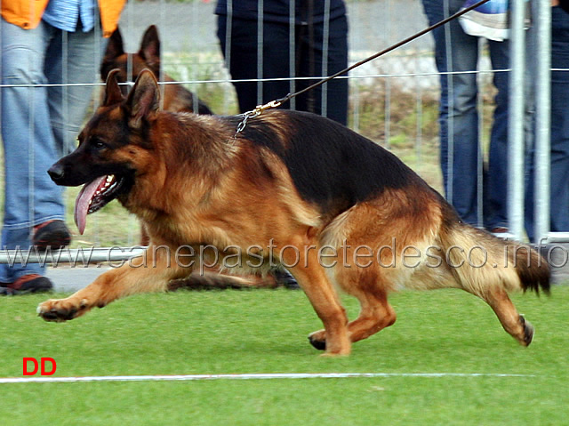 arex-von-der-wilhelmswarte-VA6-ghkl-r-6.jpg - Arex von der Wilhelmswarte VA6 GHKL R