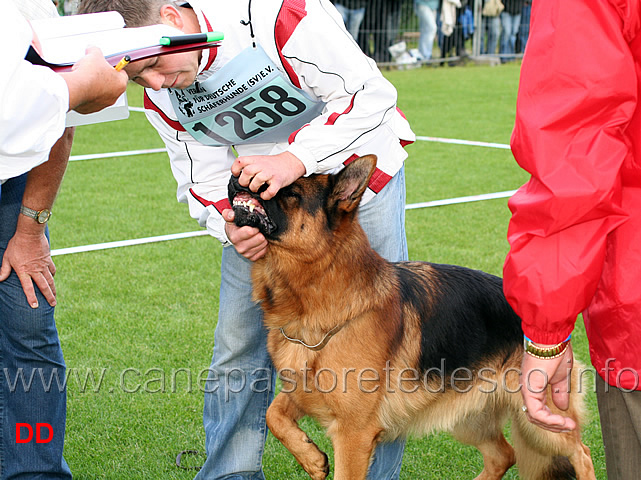 arex-von-der-wilhelmswarte-controllo-denti.jpg - Arex von der Wilhelmswarte al controllo dei denti