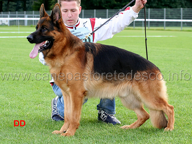 arex-wilhelmswarte.jpg - Arex von der Wilhelmswarte VA6 GHKL R