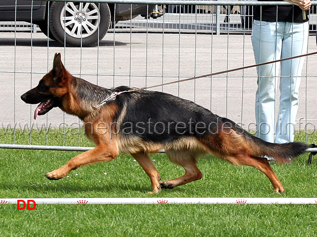 dana-elzmundungsraum-sg18.jpg - Dana vom Elzmundungsraum SG18 JKL H