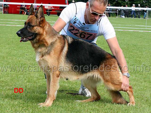 ina-degli-achei.jpg - Ina degli Achei V50 GHKL H