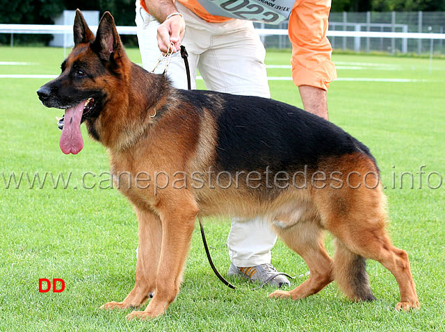 ober-von-bad-boll-VA1-GHKL-R-2.jpg - Ober von Bad Boll VA1 GHKL R