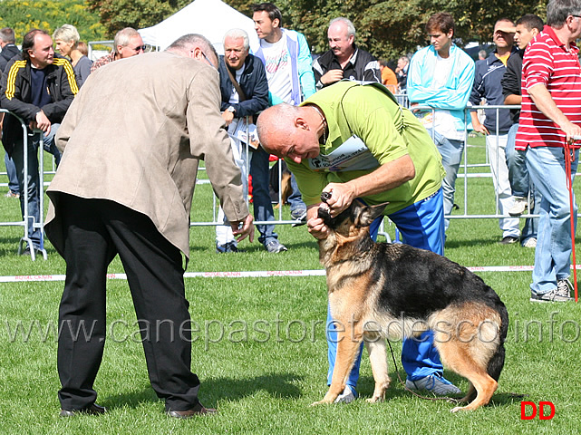 zoe-dell-alpe-adria.jpg - Zoe dell'Alpe Adria al controllo dei denti