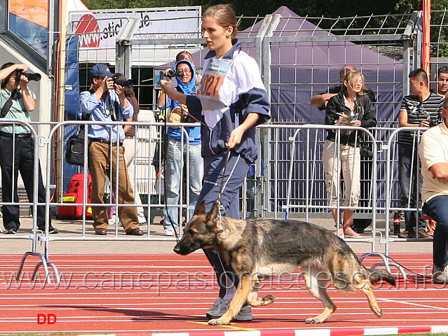 031.jpg - Fenja Bravour SG158 JKL H