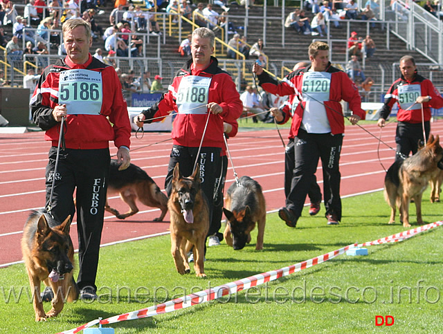 031.jpg - Gruppo di Furbo degli Achei