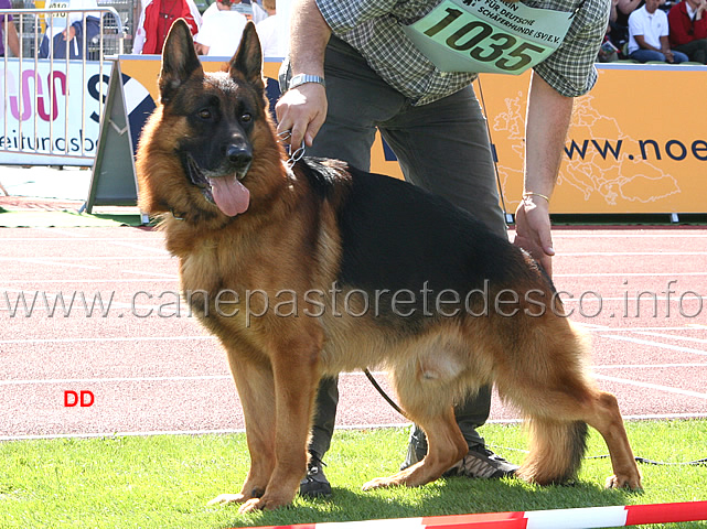 033.jpg - Furbo degli Achei