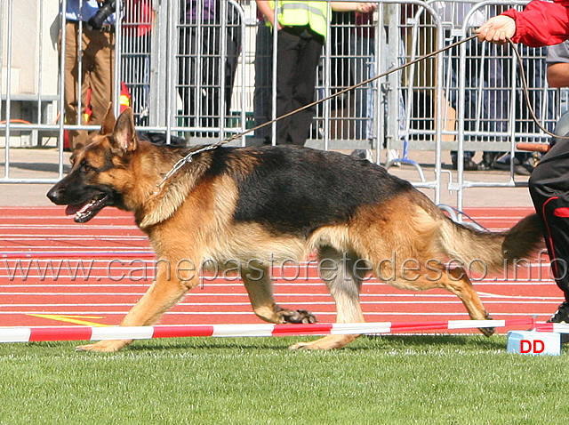 035.jpg - Rico Gut Lethe SG111  JKL R