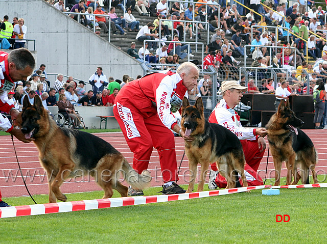 028.jpg - Namigo Lammersbeck SG54 JKL R, Leros Fidelius SG49 JKL R e Natam Lammersbeck SG58 JKL R