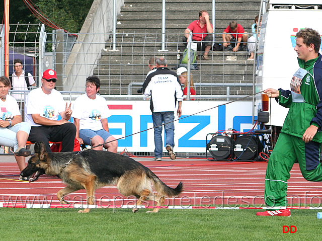 024.jpg - Gwyneth von Amur SG22 JKL H