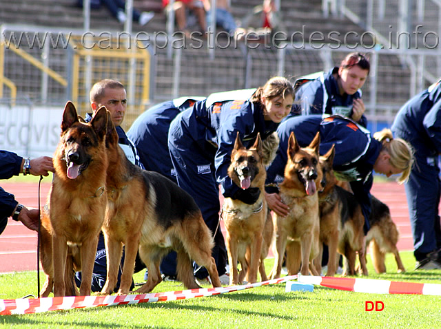 031.jpg - Gruppo di riproduzione di Quenn Loher Weg