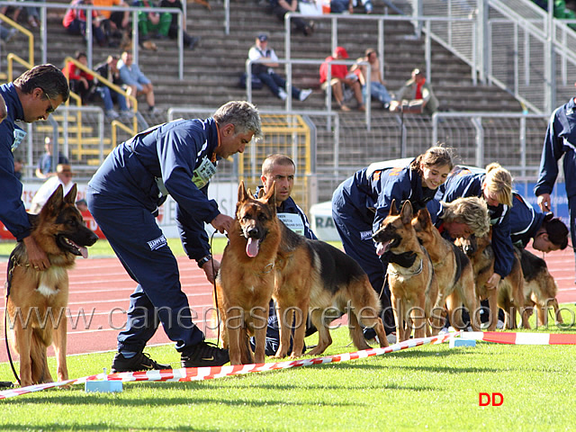 032.jpg - Gruppo di riproduzione di Quenn Loher Weg