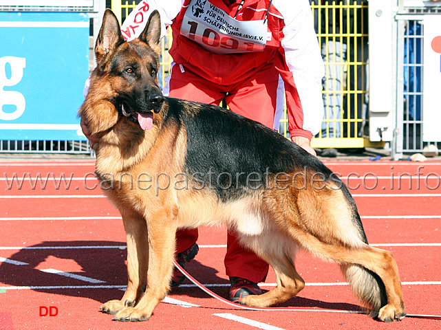 020.jpg - Dax Intercanina EZ GHKL R