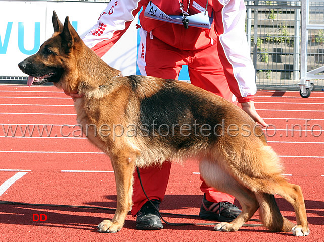 022.jpg - Alisha Eichenplatz VA2