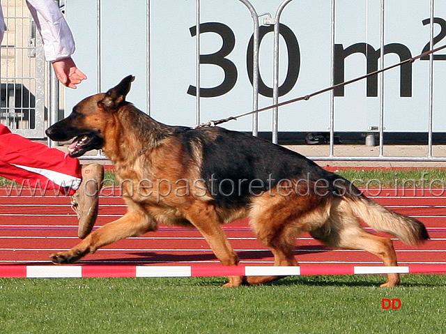 040.jpg - Beckham Bad Boll V42 GHKL R