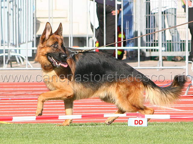 045.jpg - Wegas Fichtenschalg SG3 JHKL R