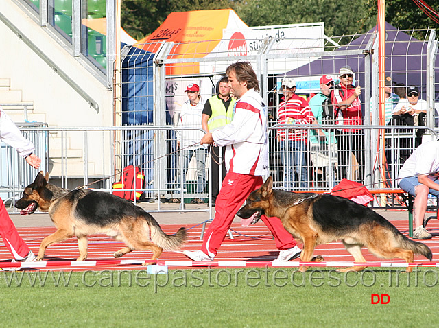 053.jpg - Puma Topolovnicki e Dallas du Haut Mansard SG3 JKL R