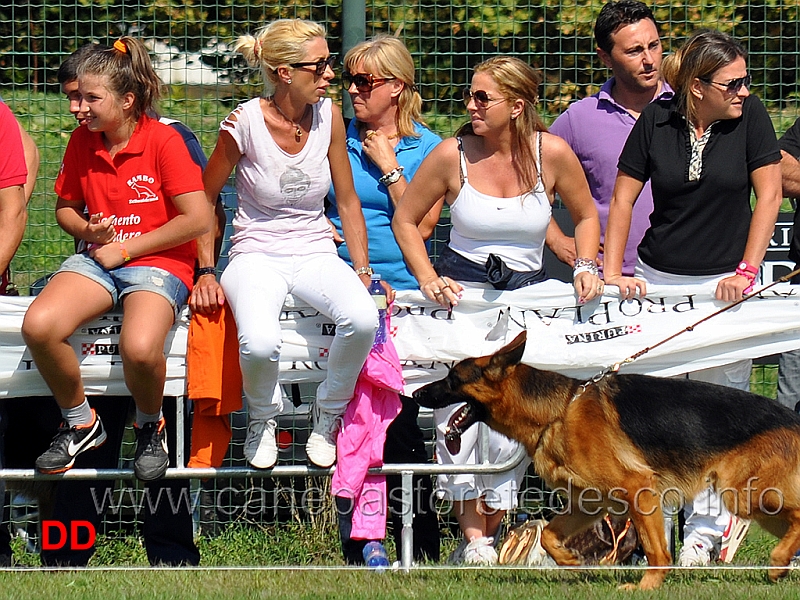 pubblico-al-femminile.jpg - Pubblico al femminile (con Vittoria Beggiato, Costanza Colombo e Serena Riva)