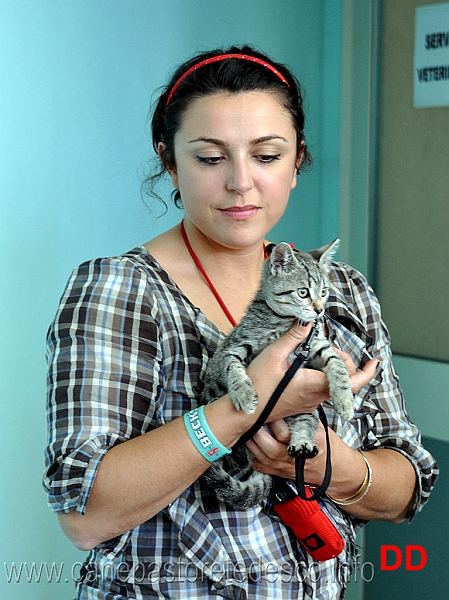 sas-in-rosa-14.jpg - eh sì..anche questa foto è scattata al Campionato. Lei è uno dei veterinari di servizio. Il gattino a guinzaglio è un temerario ...