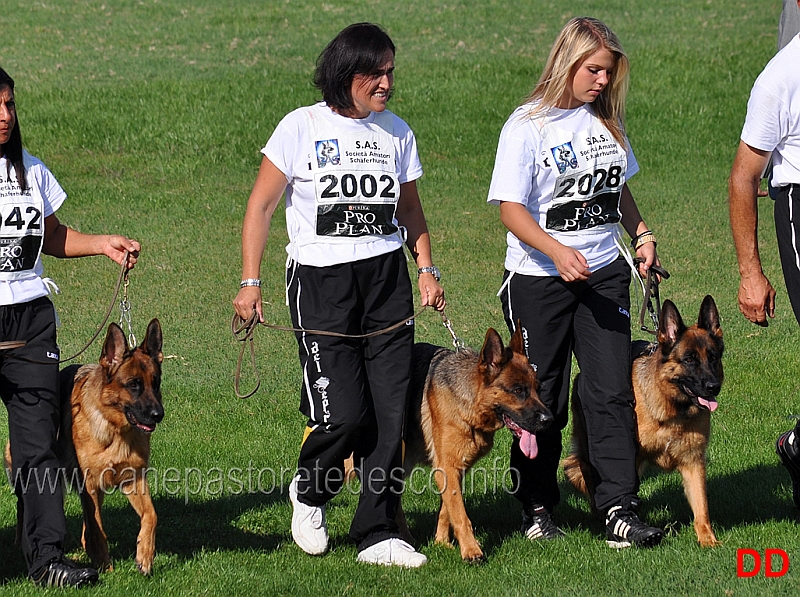 sas-in-rosa-17.jpg - Gruppo di Allevamento del Seprio. Tutte conduttrici donne per Nevio Dalla Via