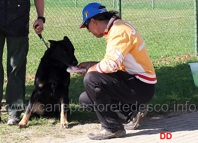 controllo-microchip