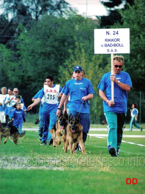 gruppo-di-riproduzione-di-rikkor-bad-boll.jpg - Gruppo di riproduzione di Rikkor Bad Boll